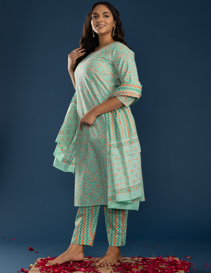 Pista Cotton Printed Straight Kurti